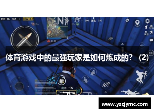 体育游戏中的最强玩家是如何炼成的？ (2)