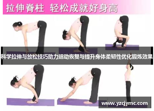 科学拉伸与放松技巧助力运动恢复与提升身体柔韧性优化锻炼效果