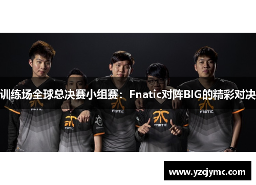 训练场全球总决赛小组赛：Fnatic对阵BIG的精彩对决