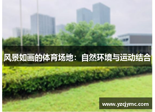 风景如画的体育场地：自然环境与运动结合